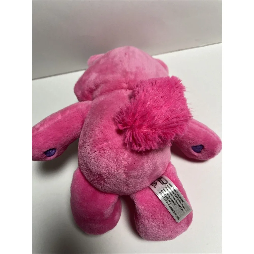 Care Bears Share Bear Unicorn Hoodie Lollipops Hearts Pink‎ Purple Plush 14